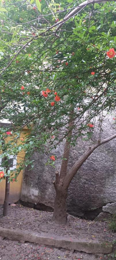 Il Giardino Nascosto Hotell Neapel Exteriör bild